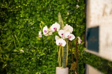 Scott's Flowers 17 Florists Family Owned Tenderloin Garment District Midtown West