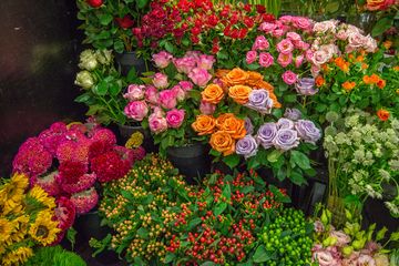 Scott's Flowers 20 Florists Family Owned Tenderloin Garment District Midtown West