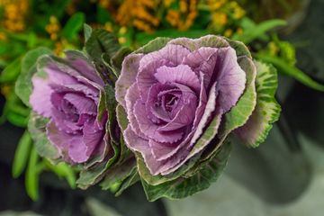 Scott's Flowers 21 Florists Family Owned Tenderloin Garment District Midtown West