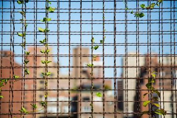 The Roof at Park South Hotel 6 Rooftop Bars Bars Midtown South Nomad Rose Hill