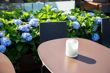 The Roof at Park South Hotel 16 Rooftop Bars Bars Midtown South Nomad Rose Hill