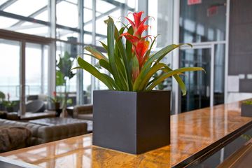 The Press Lounge 11 Rooftop Bars Bars Hells Kitchen Midtown West