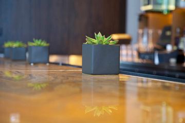 The Press Lounge 12 Rooftop Bars Bars Hells Kitchen Midtown West