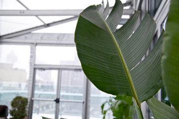 The Press Lounge 17 Rooftop Bars Bars Hells Kitchen Midtown West