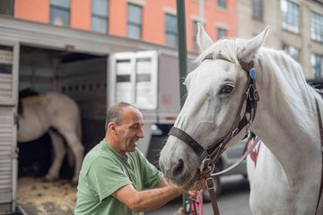 Chateau Stables 2 Stables Pony Rides Midtown West Hells Kitchen