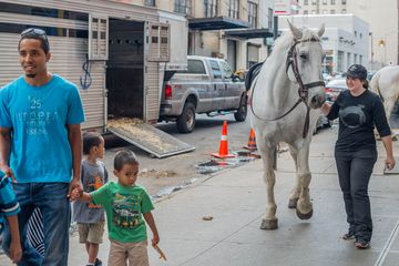 Chateau Stables 6 Stables Pony Rides Midtown West Hells Kitchen