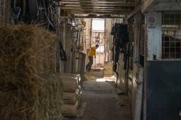 Chateau Stables 9 Stables Pony Rides Midtown West Hells Kitchen