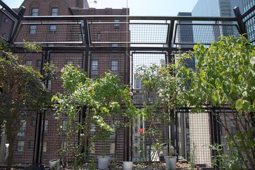 Sutton Place Synagogue 4 Synagogues Turtle Bay Midtown East Midtown