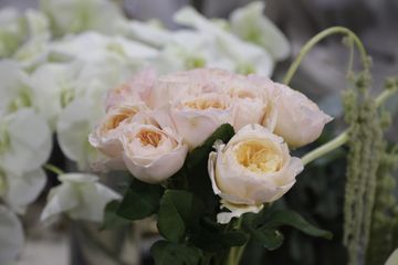 Floralies Inc. 13 Florists Harlem