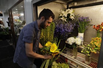 Floralies Inc. 1 Florists undefined