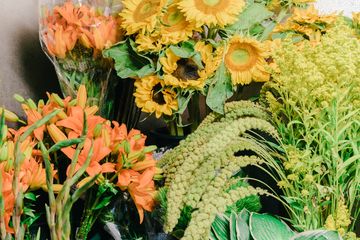 Floralies Inc. 6 Florists Harlem