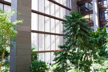 Ford Foundation 7 Atriums Headquarters and Offices Midtown Midtown East Tudor City Turtle Bay