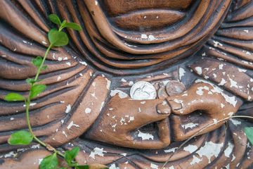 New York Zendo The Zen Studies Society 3 Meditation Centers Non Profit Organizations Uptown East Upper East Side