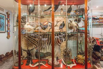 Creel and Gow 3 Gift Shops Lenox Hill