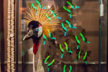 Creel and Gow 7 Gift Shops Lenox Hill