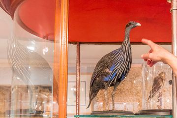 Creel and Gow 10 Gift Shops Lenox Hill