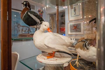 Creel and Gow 12 Gift Shops Lenox Hill