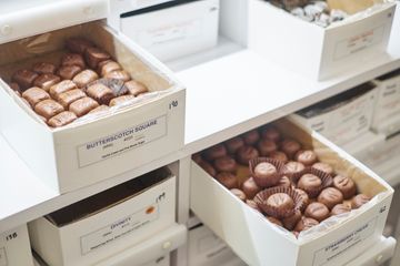 See's Candies 12 Chocolate Candy Sweets Dessert Greenwich Village