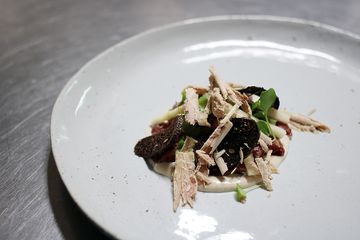 Mountain Bird and Tastings 3 Caterers East Harlem El Barrio