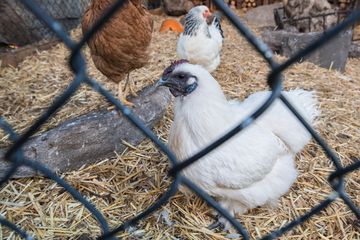Urban Garden Center 4 Florists Landscape Architects Garden and Floral Supplies Plants Family Owned East Harlem