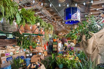 Urban Garden Center 5 Florists Landscape Architects Garden and Floral Supplies Plants Family Owned East Harlem