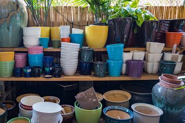 Urban Garden Center 6 Florists Landscape Architects Garden and Floral Supplies Plants Family Owned East Harlem