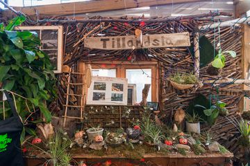 Urban Garden Center 8 Florists Landscape Architects Garden and Floral Supplies Plants Family Owned East Harlem