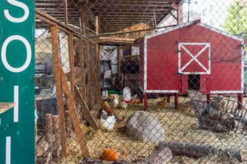 Urban Garden Center 15 Florists Landscape Architects Garden and Floral Supplies Plants Family Owned East Harlem