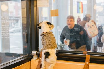 Boris & Horton 9 Cafes East Village