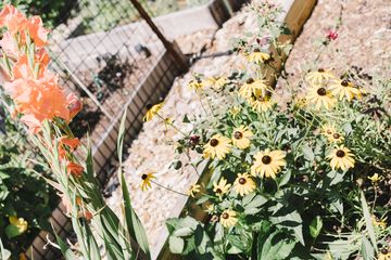 Jenny's Garden   Riverside Valley Community Garden 2 Gardens For Kids Hamilton Heights Harlem