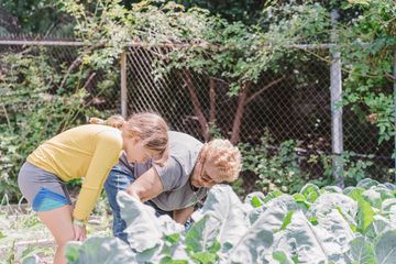 Jenny's Garden   Riverside Valley Community Garden 4 Gardens For Kids Hamilton Heights Harlem