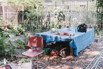 Jenny's Garden   Riverside Valley Community Garden 6 Gardens For Kids Hamilton Heights Harlem