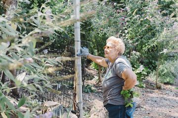 Jenny's Garden   Riverside Valley Community Garden 8 Gardens For Kids Hamilton Heights Harlem