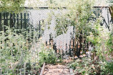 Jenny's Garden   Riverside Valley Community Garden 9 Gardens For Kids Hamilton Heights Harlem