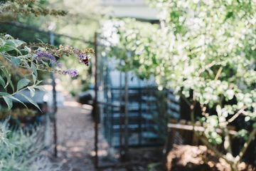 Jenny's Garden   Riverside Valley Community Garden 12 Gardens For Kids Hamilton Heights Harlem