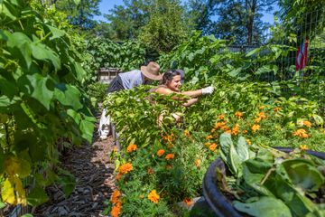 Jenny's Garden   Riverside Valley Community Garden 16 Gardens For Kids Hamilton Heights Harlem