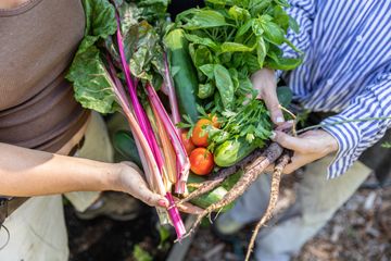 Jenny's Garden   Riverside Valley Community Garden 17 Gardens For Kids Hamilton Heights Harlem