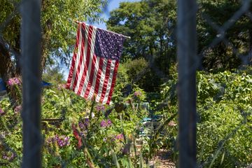 Jenny's Garden   Riverside Valley Community Garden 20 Gardens For Kids Hamilton Heights Harlem