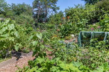 Jenny's Garden   Riverside Valley Community Garden 22 Gardens For Kids Hamilton Heights Harlem