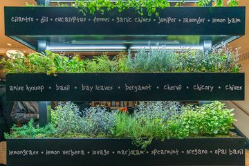 LYFE Kitchen 5 Vegetarian American Gluten Free Midtown West