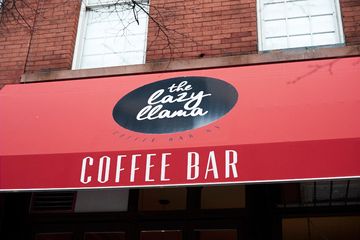 The Lazy Llama Coffee Bar 9 Coffee Shops East Village