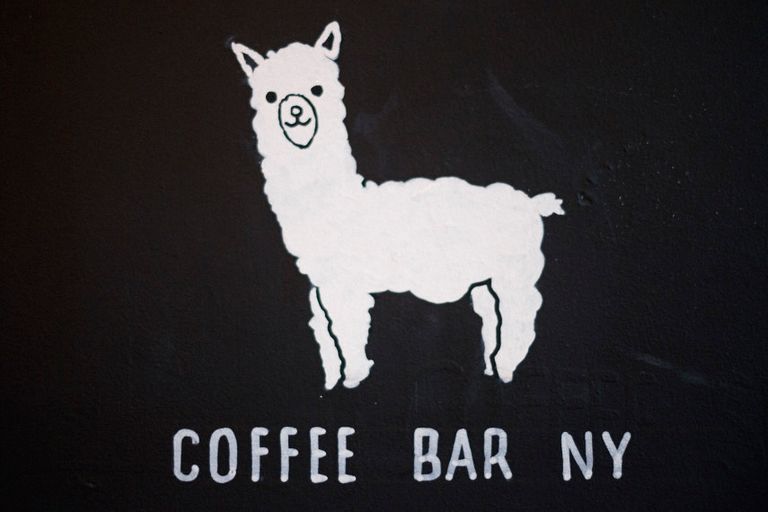 The Lazy Llama Coffee Bar 1 Coffee Shops East Village