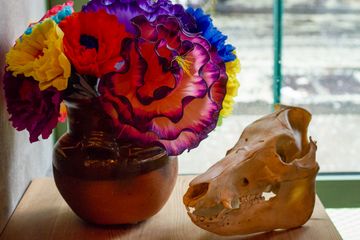 Rosie's Mexican 14 Mexican East Village