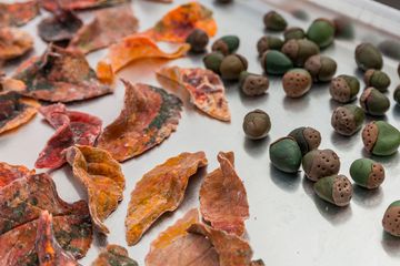 Sugar Sketch 6 Bakeries Caterers East Village Alphabet City Loisaida