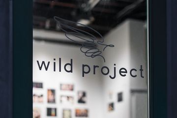 Wild Project 1 Event Spaces Theaters Art and Photography Galleries undefined
