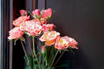 Bibi Wine Bar 12 Bars Wine Bars East Village Alphabet City Loisaida