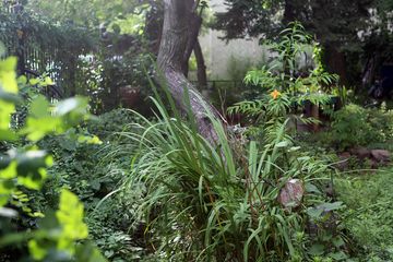 Secret Garden 5 Gardens East Village Alphabet City Loisaida