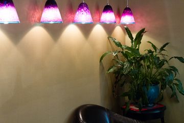 Cooper Square Veterinary Hospital 2 Veterinarians East Village