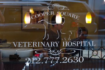 Cooper Square Veterinary Hospital 6 Veterinarians East Village