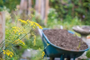 GG's 20 Italian Alphabet City Loisaida East Village